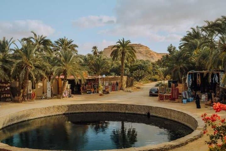 7 Day tour Cairo Alexandria and Siwa Oasis