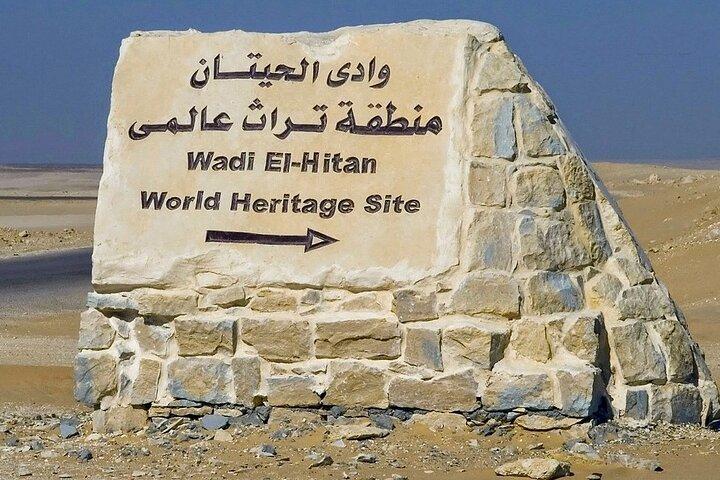 A day desert adventure from Cairo to Valley of the whales - Wadi Hitan - and Wadi Rayan