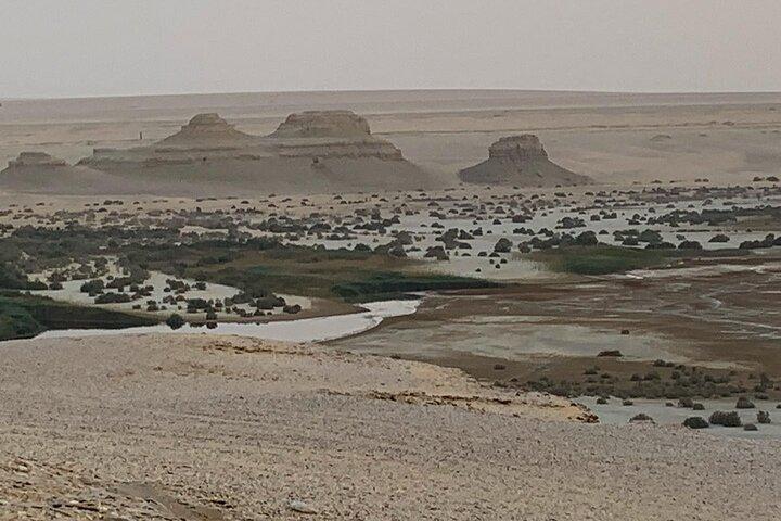 Wadi Al Hitan-dagtrip vanuit Caïro