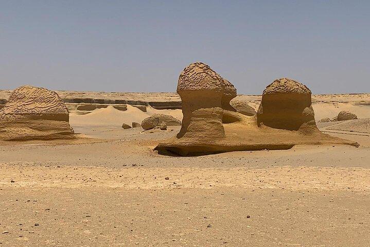 カイロからのワディアルヒタンの日帰り旅行