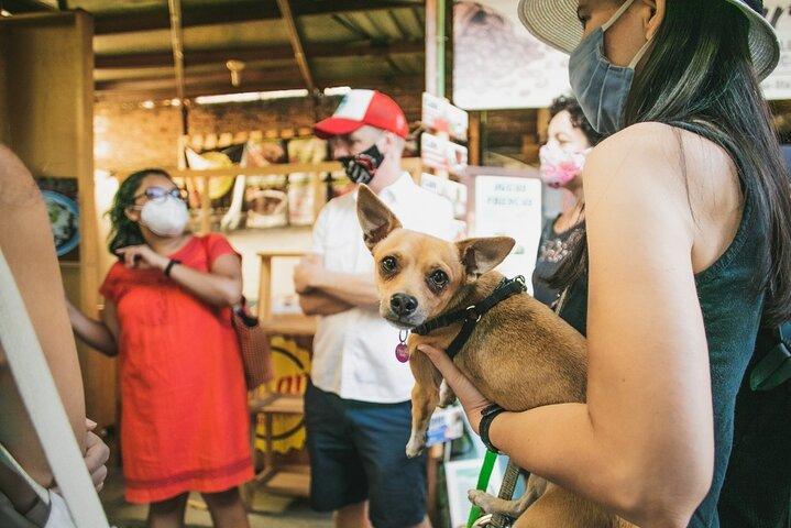 Recorrido gastronómico por los mercados con 15 + degustazioni