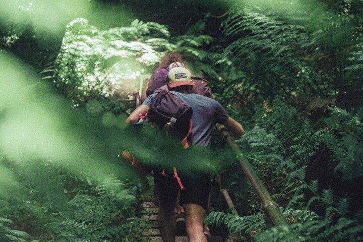 Private Day Trip at the Blue Mountains