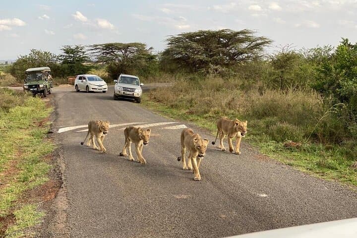Nairobi national park and Giraffe center