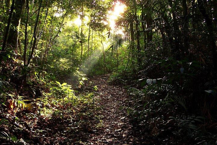 Experiencia Sostenible Río de Janeiro