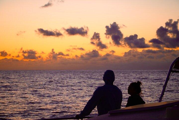 Whale Watching and Sunset Cruise