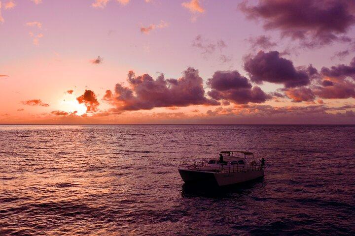 Whale Watching and Sunset Cruise