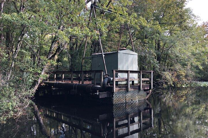 Airboat Adventure i Saint Augustine med en guide