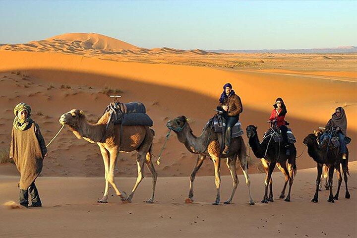Dubai Desert Safari à noite com jantar de churrasco