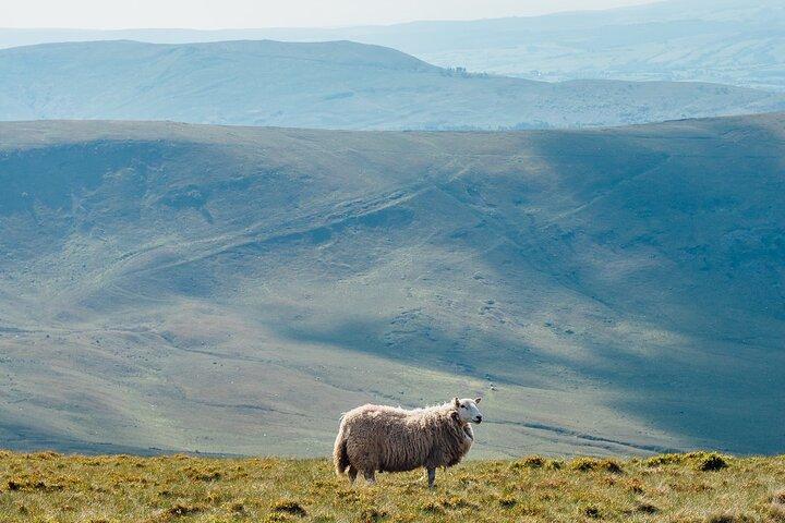 Aplicación Brecon Beacons Tour, Hidden Gems Game y Big Britain Quiz (Pase de 7 días) Reino Unido