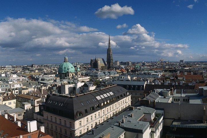 特別なウィーン旧市街ハイライト ウォーキング ツアー (最大 6 名)