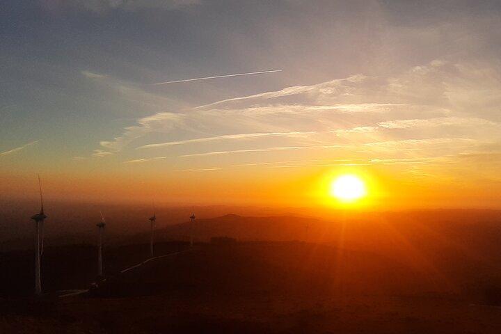 Sunset Safari 4H