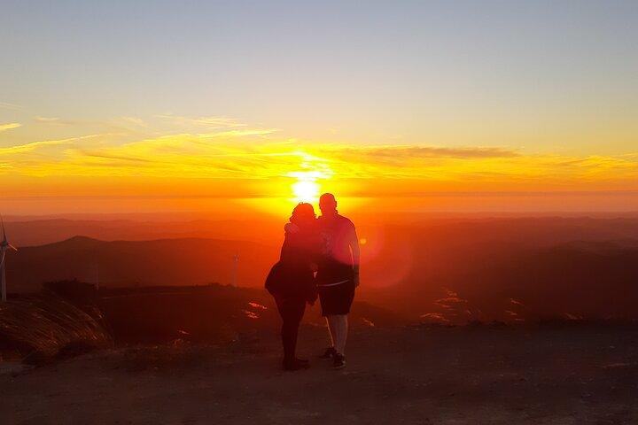 Sunset Safari 4H