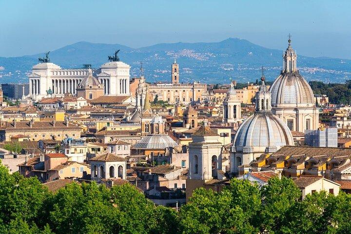 Ankomsttransfer: Fiumicino flygplats FCO till Rom med lyxbil