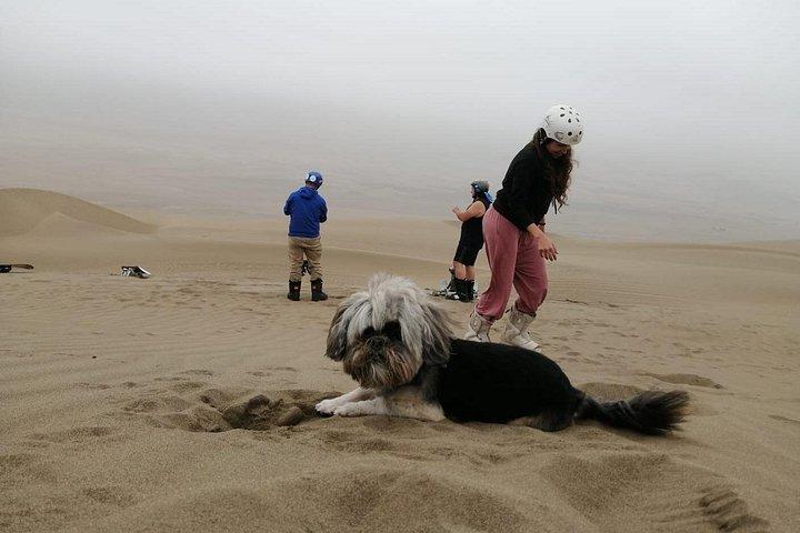 Sandboarding Experiance i Lima