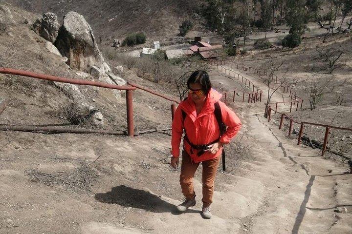 Hiking in Lima, Lomas de Lachay