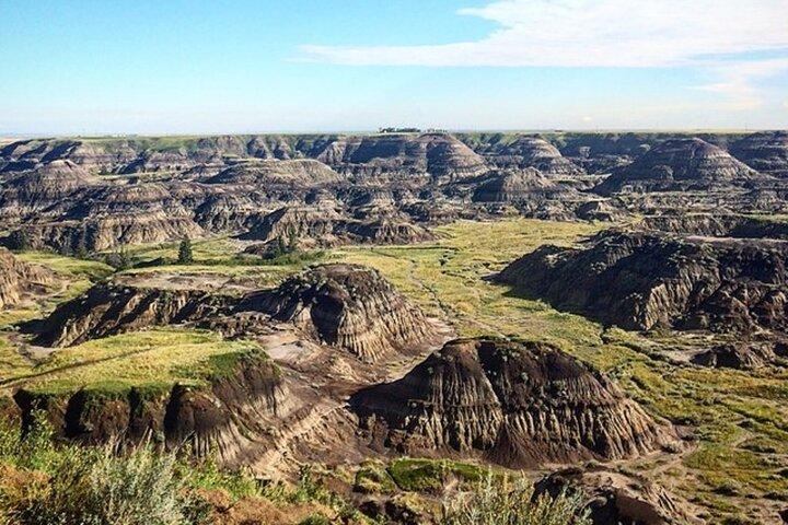 Excursion d'une journée à Drumheller Dinosaur Valley & Horseshoe Canyon Adventure