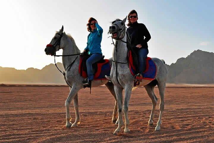 Ridning i Dahab