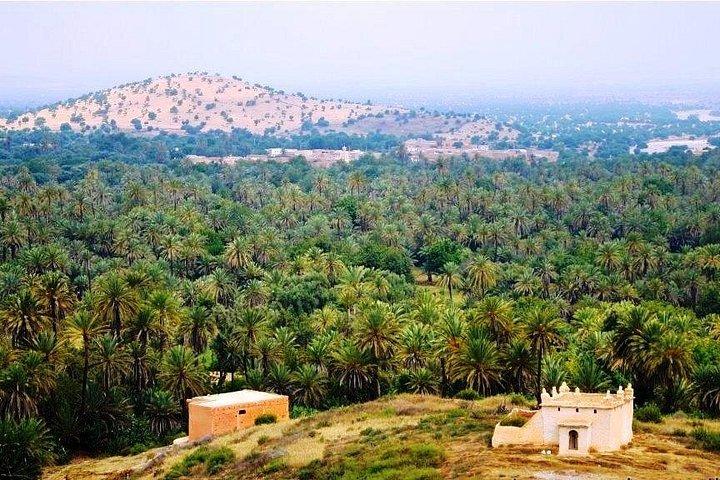 Atlas & Sahara, Safari-Abenteuer