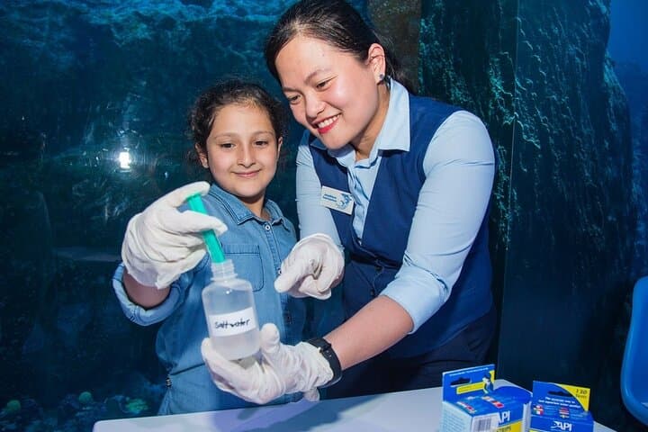 KidZania Dubai Mall Admission Ticket