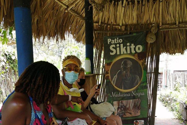 Palenque; Historical and Cultural Tour.
