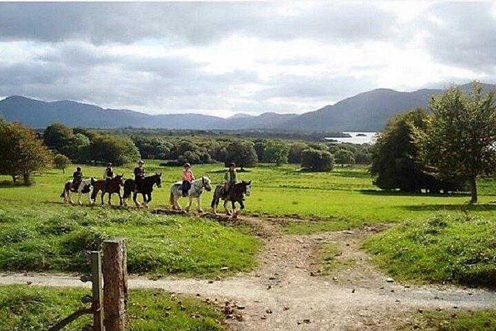 Killarney National Park Ridning. Co Kerry. Guided. 3 timer.