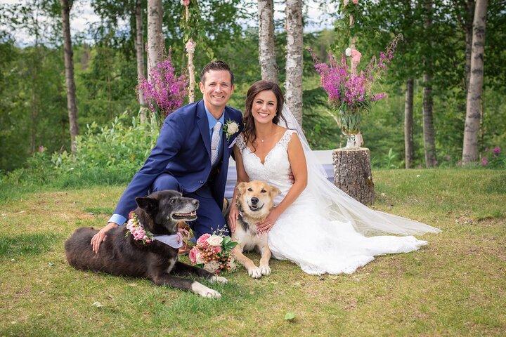 Summer Dog Sledding Adventure in Willow, Alaska