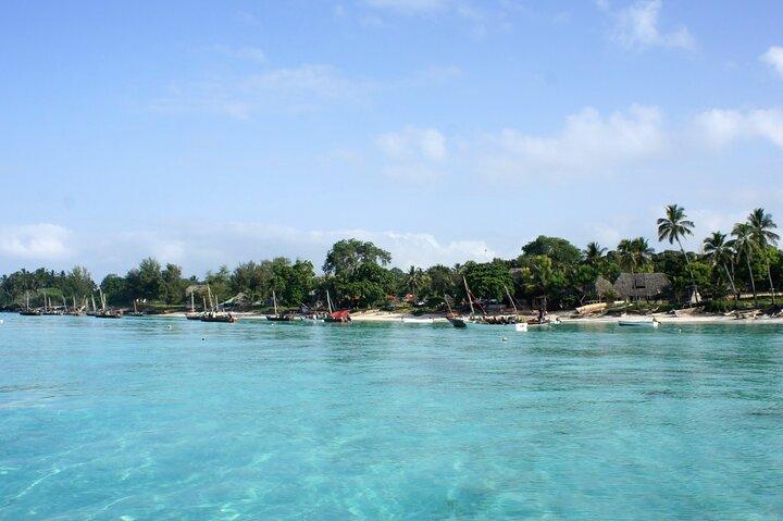 Observation des dauphins à Zanzibar