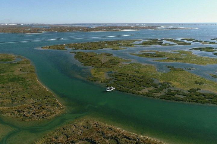リア・フォルモーサのファロ砂漠とファロル諸島ツアー