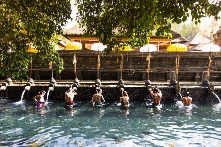 Bedste af Bali Private Shore Udflugter