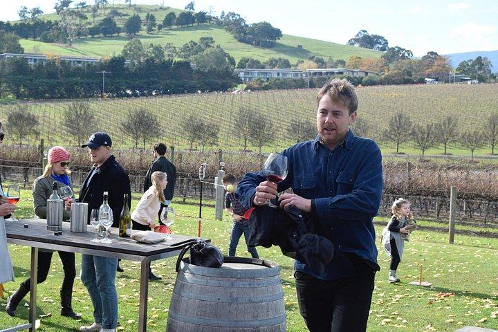 Yarra Valley Winery Tours