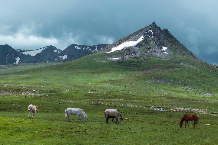 Tribus de Pakistán