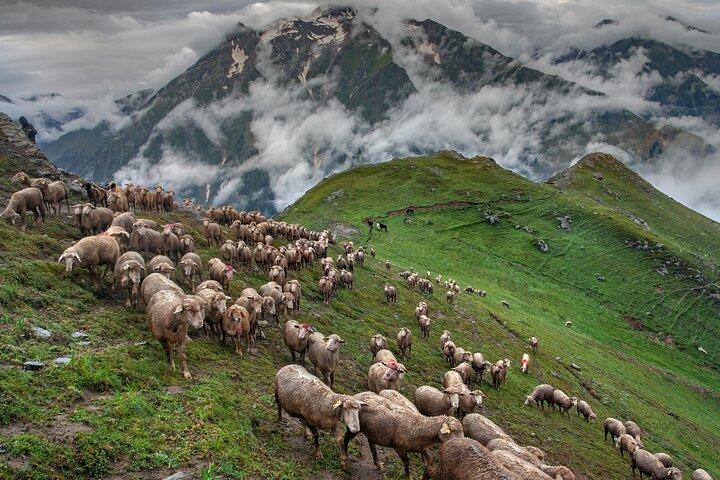 Tribus de Pakistán