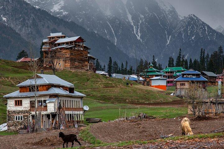 Stämme aus Pakistan