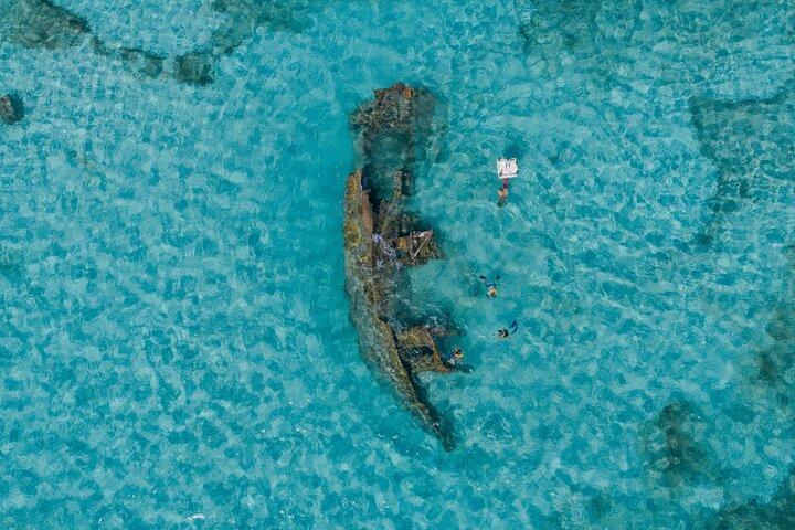 カンクン シュノーケリング ツアー : ウミガメ、サンゴ礁、水中博物館、難破船と一緒に泳ぐ