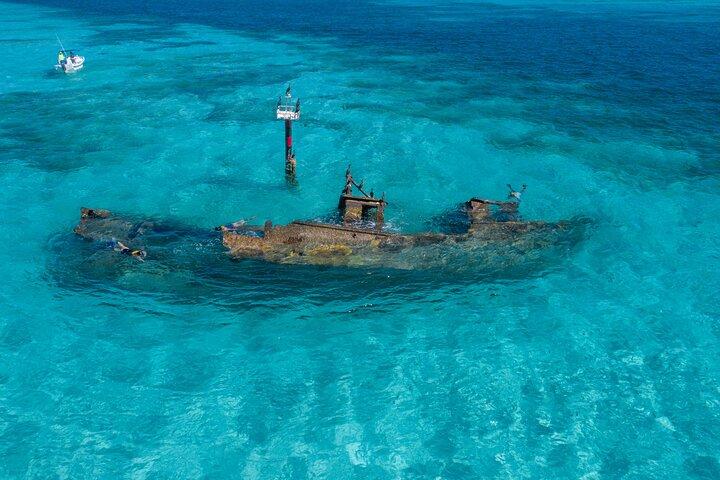 カンクン シュノーケリング ツアー : ウミガメ、サンゴ礁、水中博物館、難破船と一緒に泳ぐ
