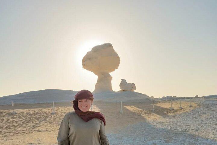 Overnight camping White Desert (Baharaya Oasis) & Cairo Private Transfers