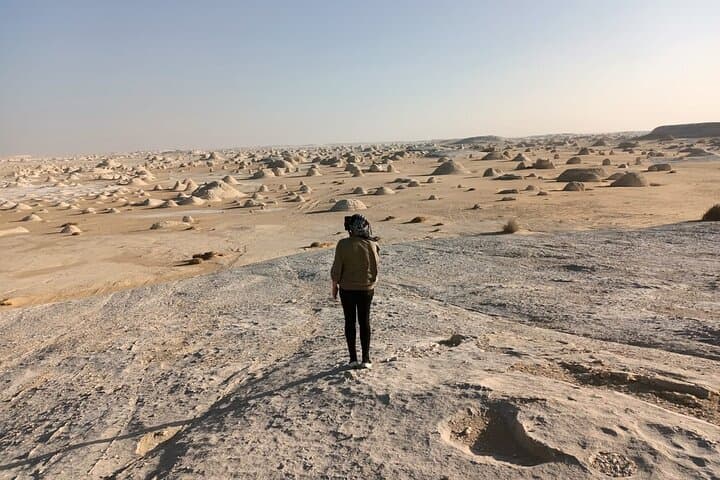 Camping in the White & Black Deserts (Bahariya Oasis) & Cairo Private transfer