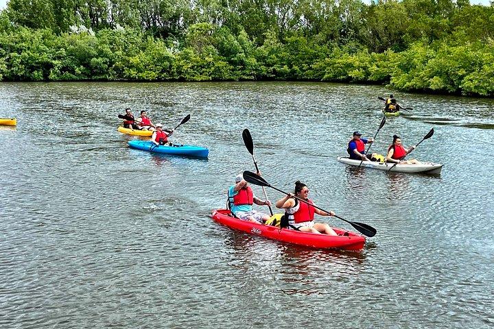 Mangrove Tunnel Kayak Eco Tour