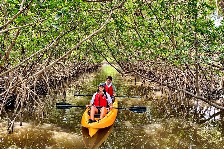 Mangrove Tunnel Kayak Eco Tour