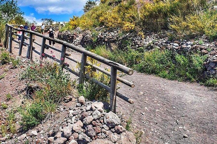 ソレント発：ヴェスヴィオ山ツアー（入場券＆ランチ付き）