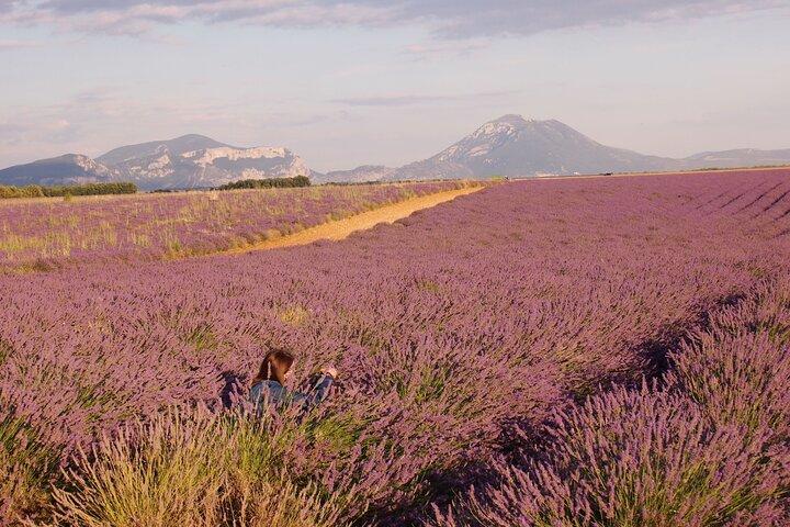 Sunset Lavender Tour em Valensole com coleta de Marselha