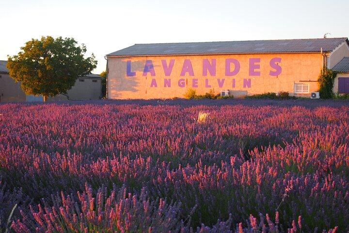 Sunset Lavender Tour em Valensole com coleta de Marselha