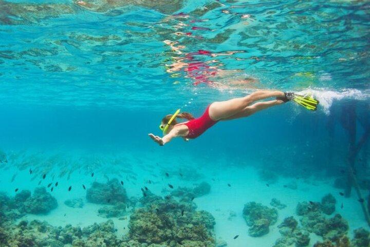 Blue Cave heldagsbåttur med Hvar och 5 öar