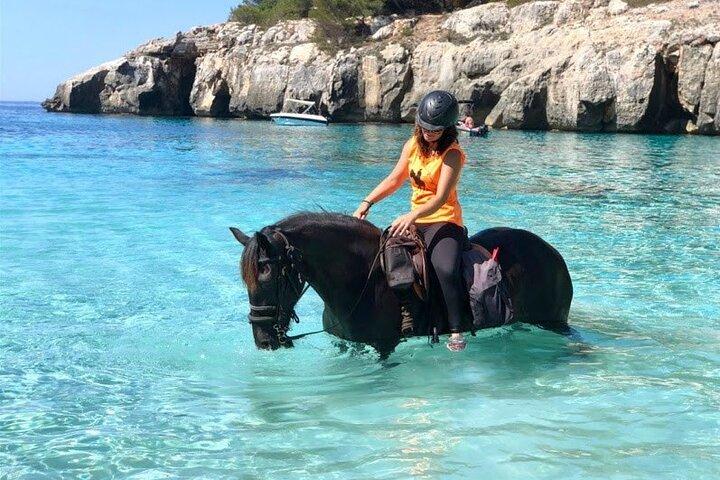 Cala Mitjana、メノルカ島、スペインでの乗馬