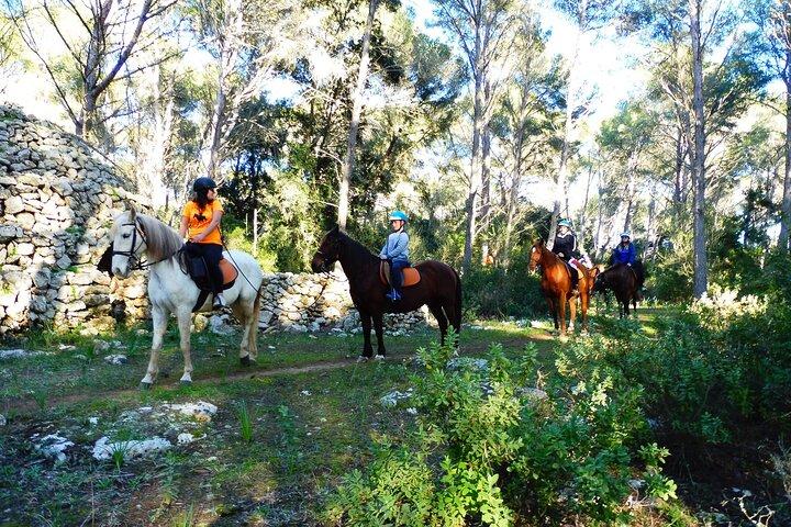 Ridning i Cala Mitjana, Menorca, Spanien