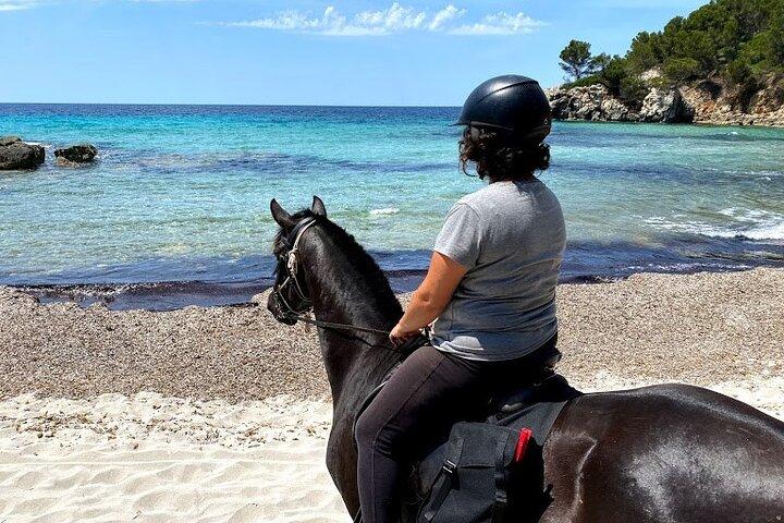 Cala Mitjana、メノルカ島、スペインでの乗馬