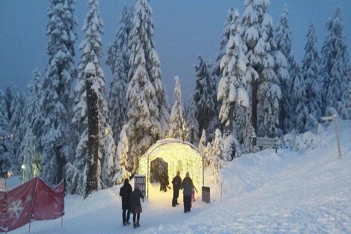 バンクーバー キャピラノ キャニオンの光とライチョウ山のクリスマスのピーク