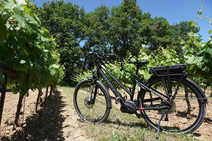 Alquiler de bicicletas eléctricas de día completo en Luberon