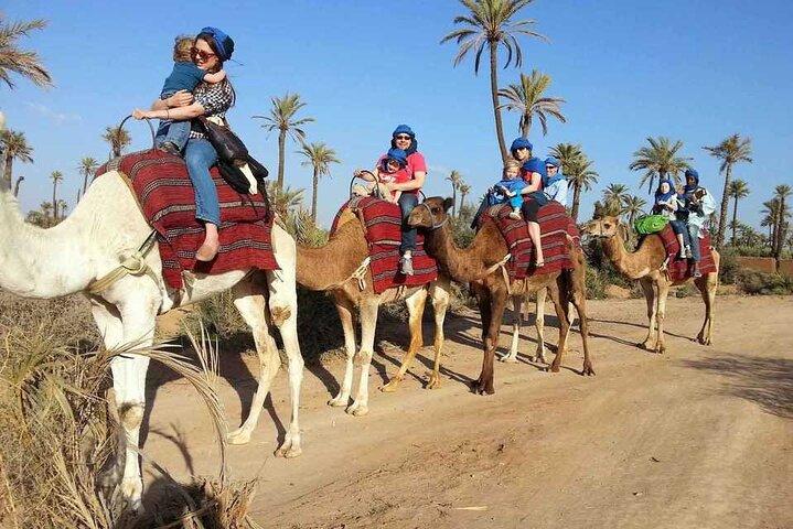 Camel ride in palm grove