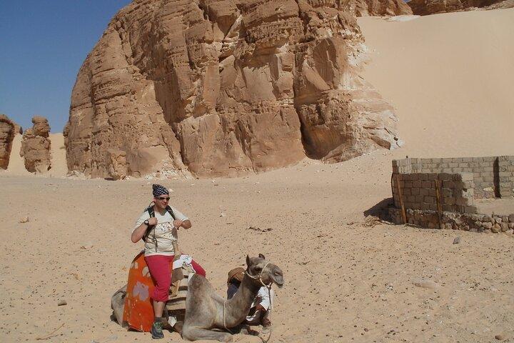 Zwei Tage Kamelsafari ab Dahab